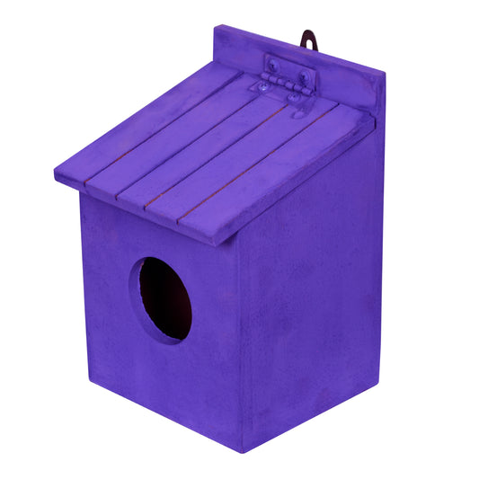Cute Purple Bird house - openable
