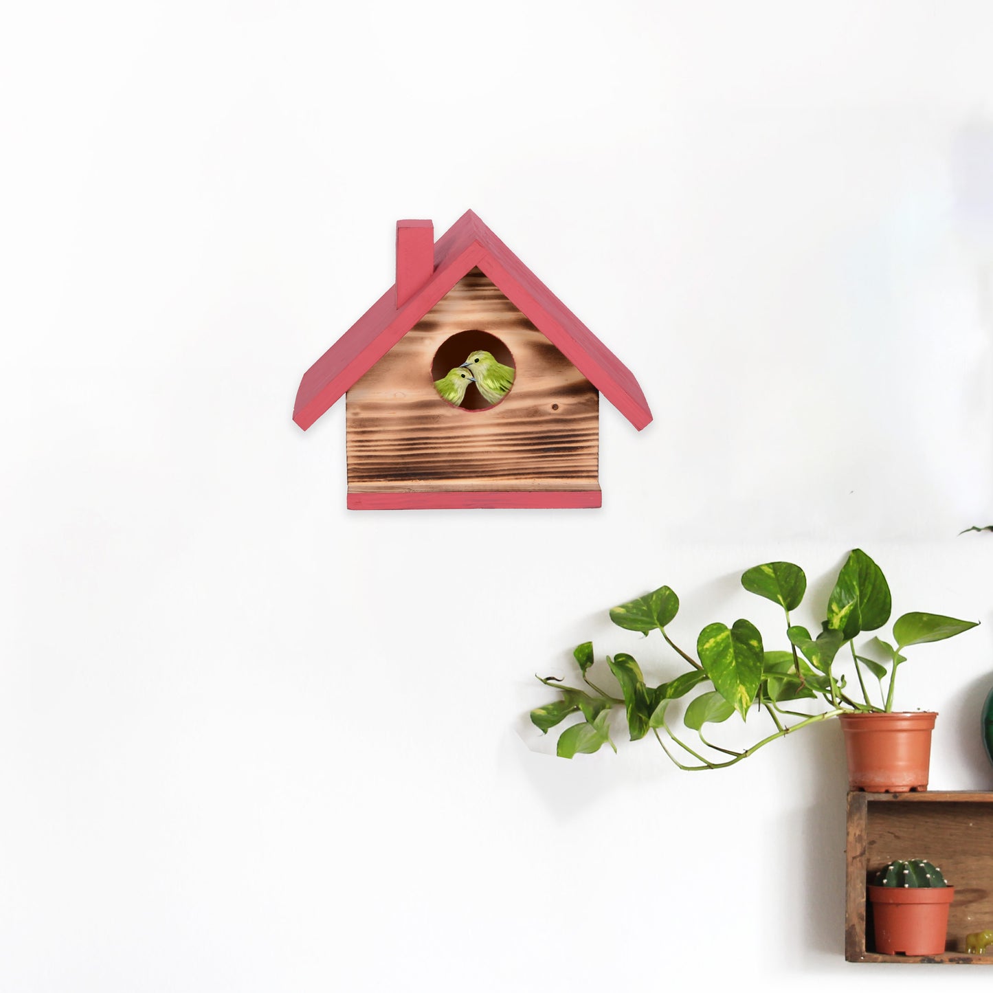 Bird House  Wooden Nest Box ~ Walnut 🪺 🐣
